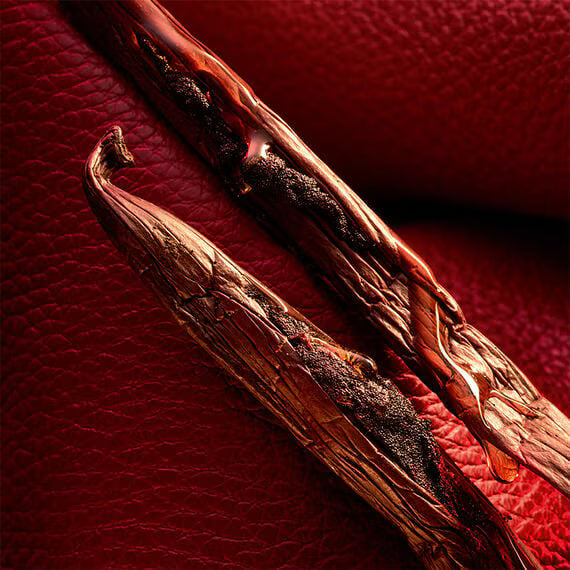 Habit Rouge - Parfum