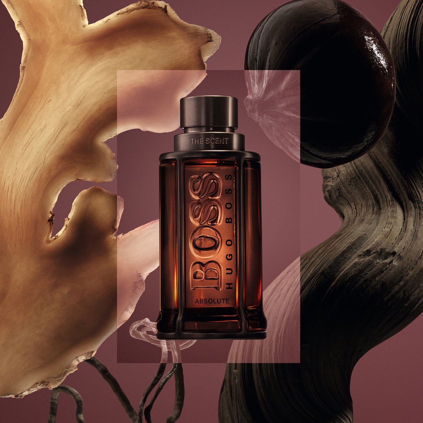 The Scent Absolute